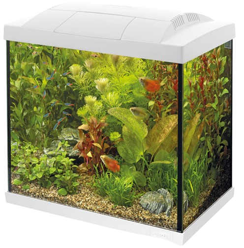 Superfish Start 50 tropical aquarium wit