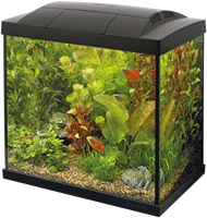 Superfish Start 50 tropical aquarium zwart