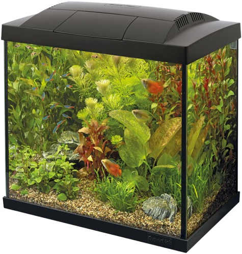 Superfish Start 50 tropical aquarium zwart