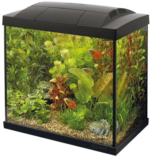Superfish Start 30 Tropical Kit zwart