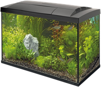 Superfish Start 150 tropical aquarium zwart