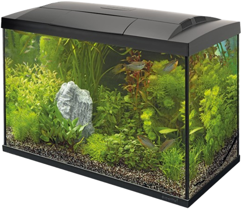 Superfish Start 150 tropical aquarium zwart