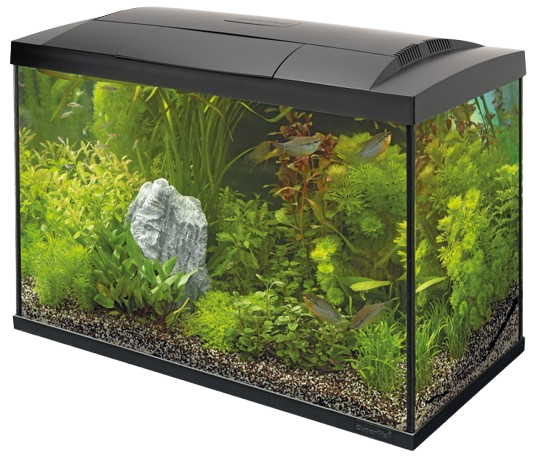 Superfish Start 150 tropical aquarium zwart