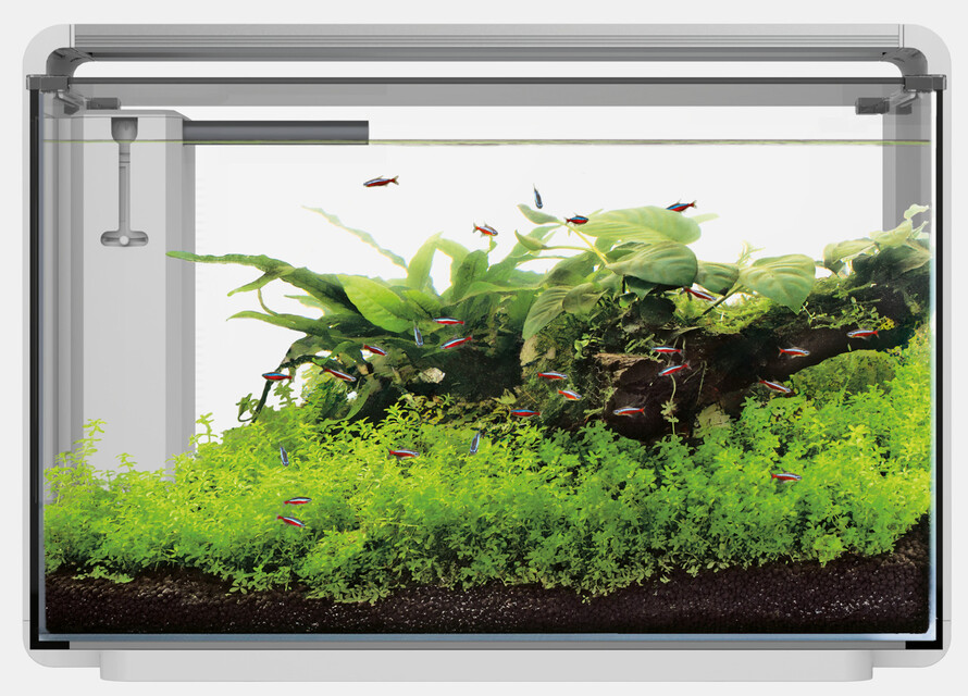 Superfish Home ProLED 65 wit