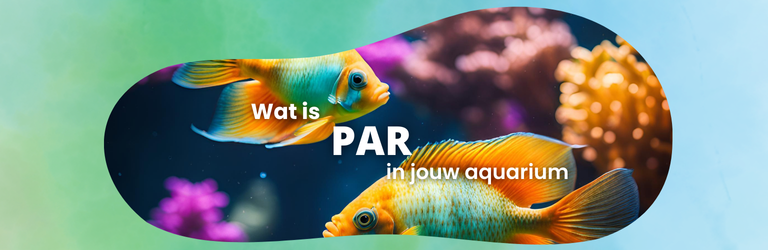 Wat is PAR ?