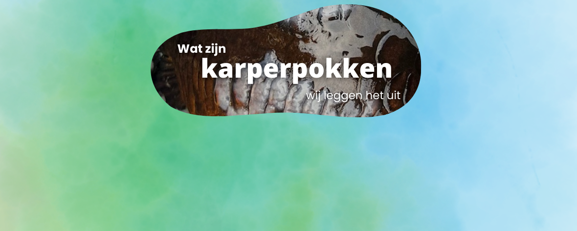 Wat zijn karperpokken? 