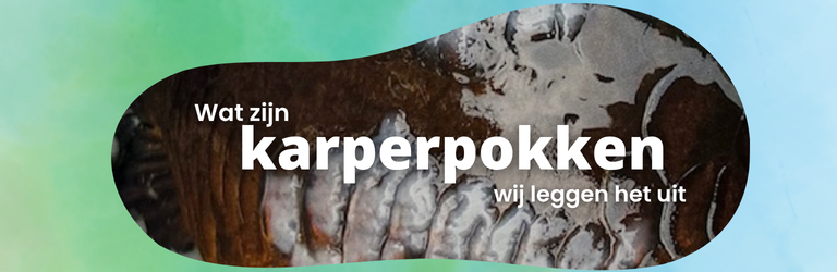Wat zijn karperpokken? 