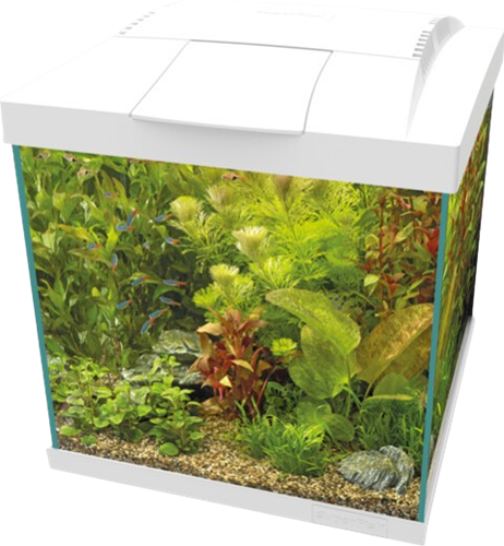 Superfish Start Qube 30 kit wit