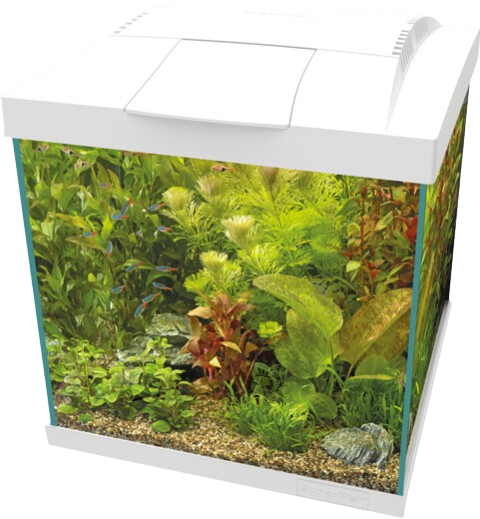 Superfish Start Qube 30 kit wit