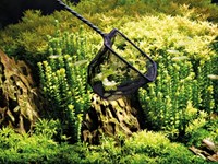 Oase visnet 8 cm-2