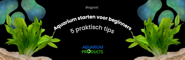 Aquarium starten voor beginners: 5 praktische tips