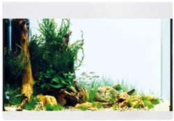 Oase StyleLine 175 aquarium wit