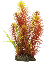 Superfish Art Plant 25 cm Myriophyllum red