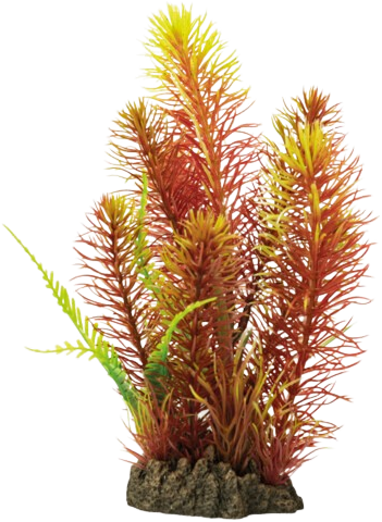 Superfish Art Plant 25 cm Myriophyllum red
