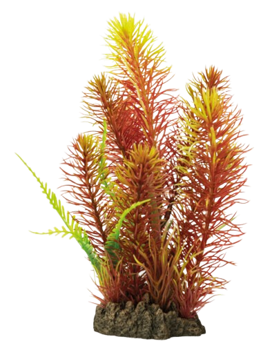 Superfish Art Plant 25 cm Myriophyllum red