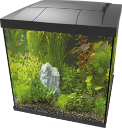 Superfish Start Qube 60 kit zwart