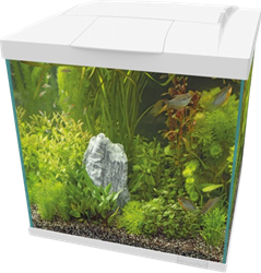 Superfish Start Qube 60 kit wit