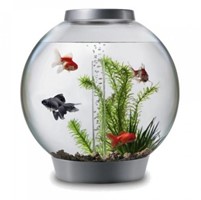 BiOrb Aquarium