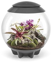 Superfish Aquaria