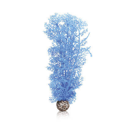 BiOrb Hoornkoraal M blauw