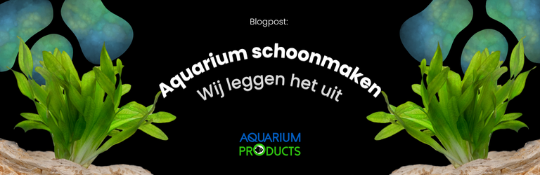 Hoe maak je een aquarium schoon?