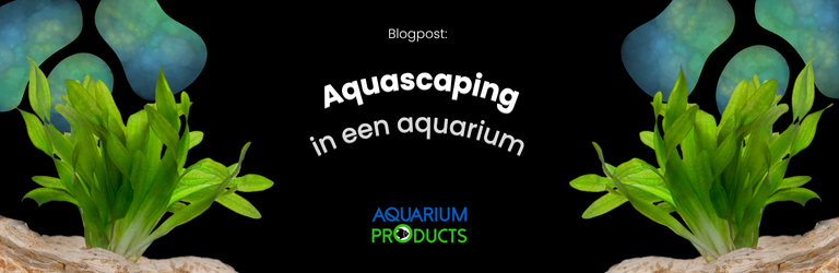 Aquascaping in een aquarium