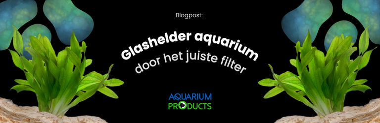Een glashelder aquarium met het juiste filter