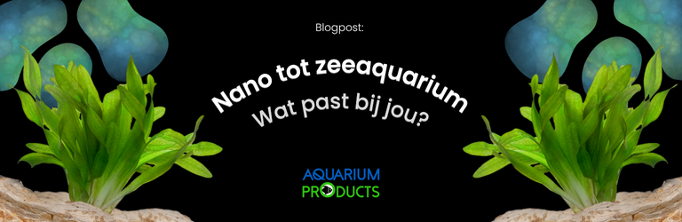 Van nano tot zeeaquarium: ontdek welk type bij jou past