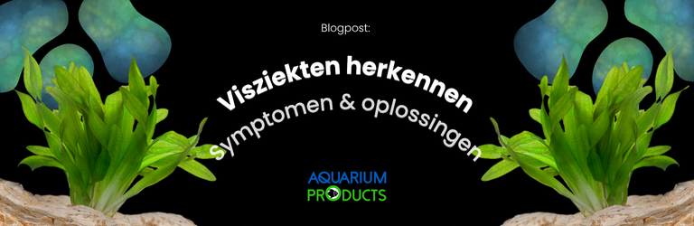 Visziekten herkennen: symptomen en oplossingen