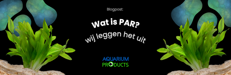 Wat is PAR?