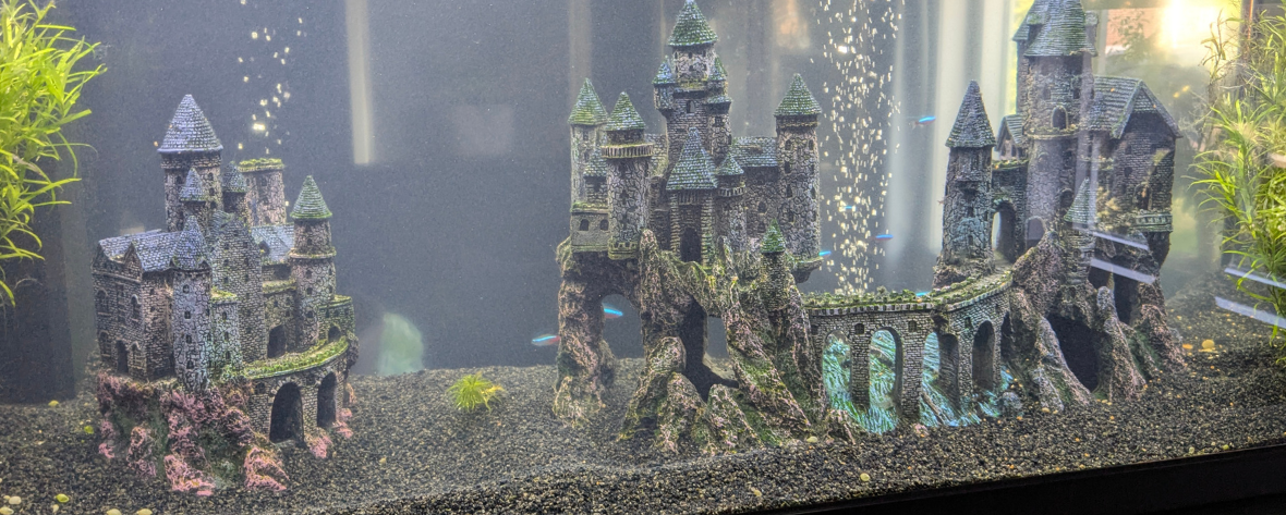 Witte waas in aquarium