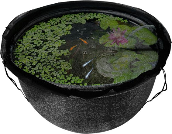 Superfish Medaka Afdeknet