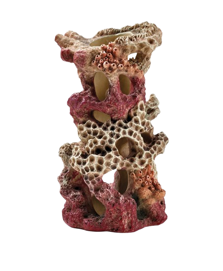BiOrb Rifrots
