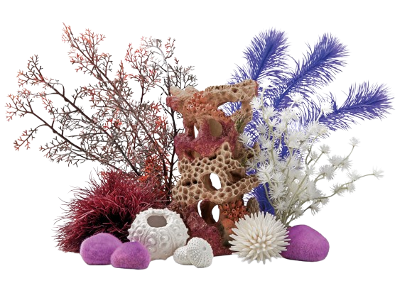 BiOrb Rifsteen decoratieset