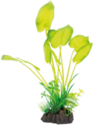 Superfish Art Plant 25 cm Echinodorus