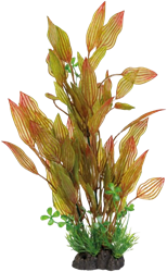 Superfish Art Plant 40 cm Henkelianus