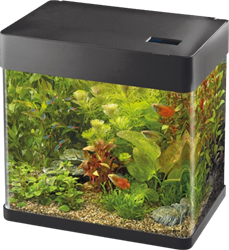 Superfish Panorama 35 LED zwart
