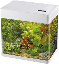 Superfish Panorama 35 LED wit