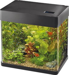 Superfish Panorama 50 LED zwart