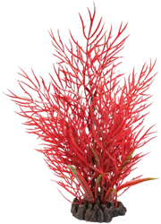 Superfish Art Plant 25 cm Ludwigia