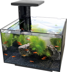 Superfish Qubiq 20 zwart