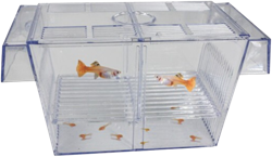 Superfish Floating Breeding Box