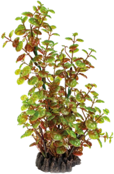 Superfish Art Plant 25 cm Rotala