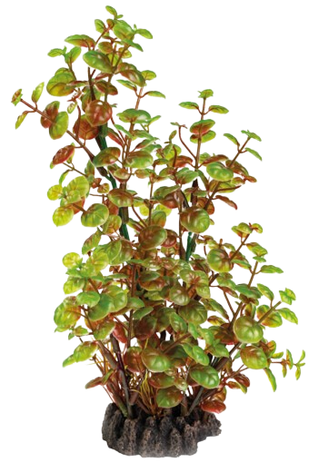 Superfish Art Plant 25 cm Rotala